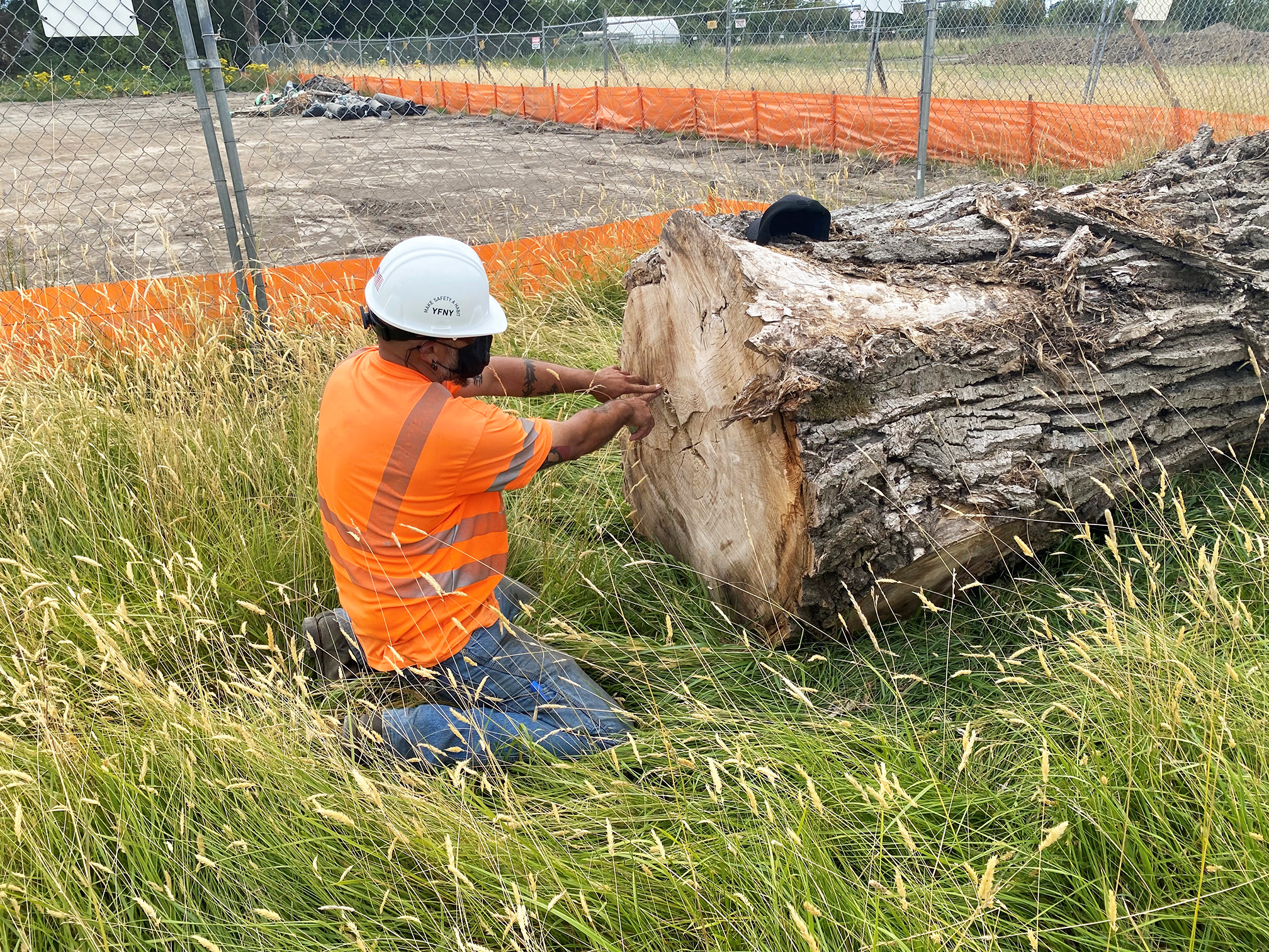 A worker making measure to turn cottonwood tree log into benches for the Ag Complex