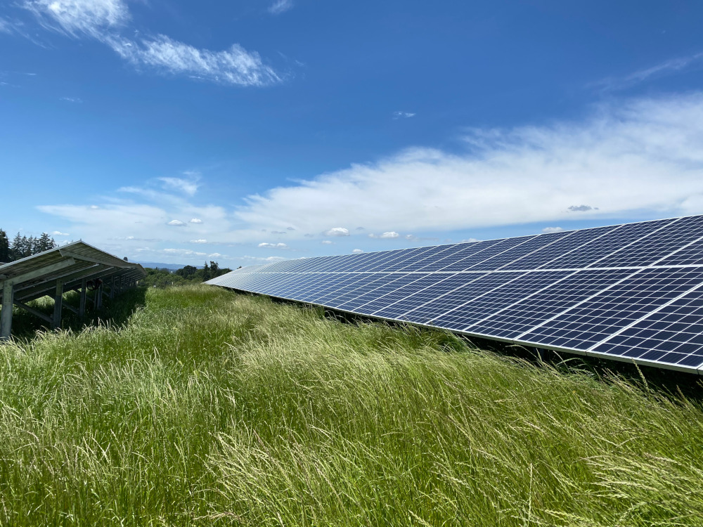 image of solar panels on sunny day